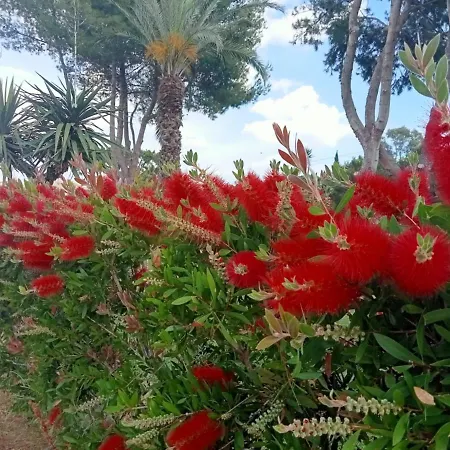 Vila Das Flores - Flowers Quarteira